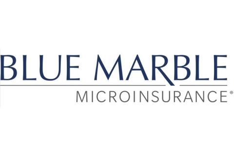 Joan Lamm-Tennant, CEO of Blue Marble ...